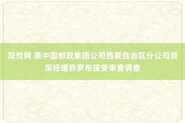 双悦网 原中国邮政集团公司西藏自治区分公司资深经理乔罗布接受审查调查