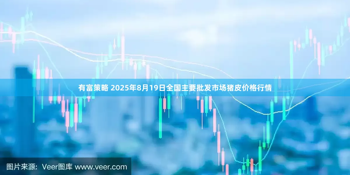 有富策略 2025年8月19日全国主要批发市场猪皮价格行情