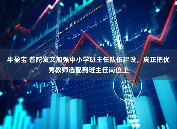 牛盈宝 普陀发文加强中小学班主任队伍建设，真正把优秀教师选配到班主任岗位上